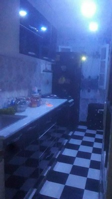 2320_1.jpg